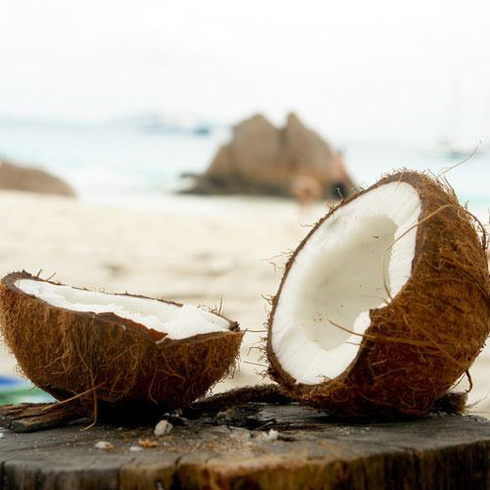 Coconut Fragrance Oil, Fresh Coconut Scent