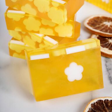 Citrus Sparkle Homemade Melt and Pour Soap Kit