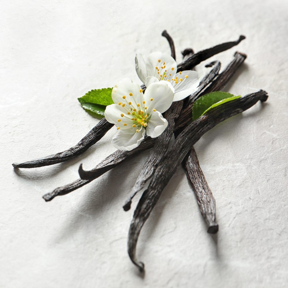 Vanilla Essential Oil for Candles in Nifas Silk-Lafto - Home